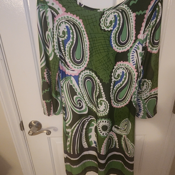 Green Paisley Dress - Picture 3 of 5